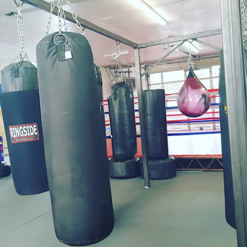 Defiance Martial Arts: Krav Maga, Jeet Kune Do, Kali, Kickboxing, Karate, and Jiu Jitsu