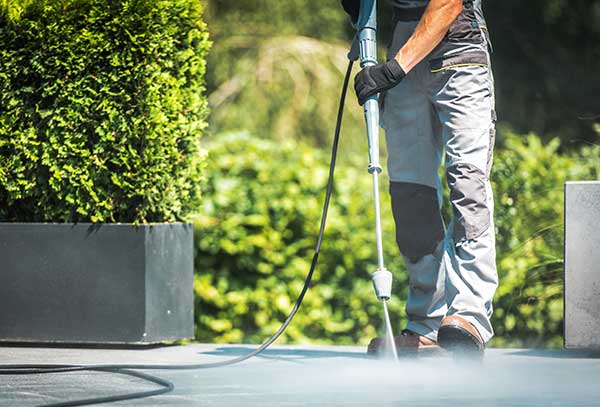 Clear Choice Professional Services