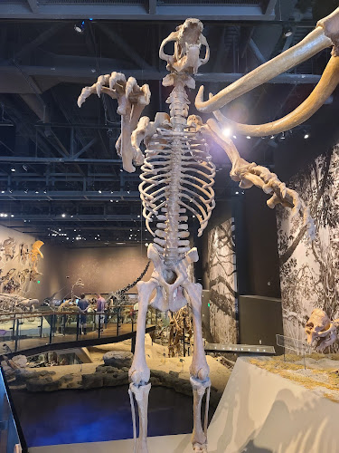 Donner-Reed Museum