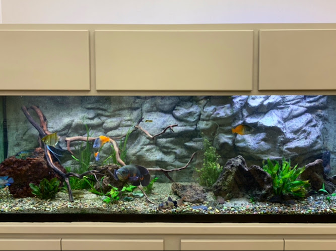 H2O Aquarium Services