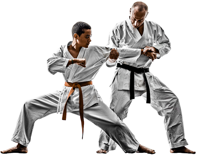 International Martial Arts Academy