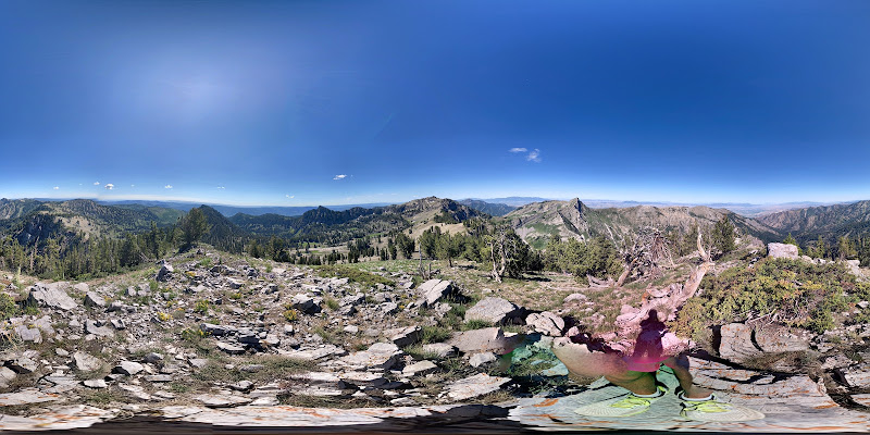 Mount Naomi Wilderness