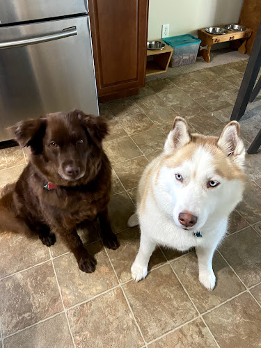 D’Tails Pet Grooming & Boarding