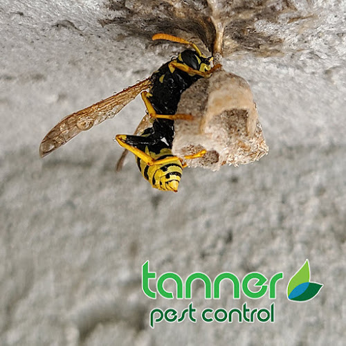 Tanner Pest Control